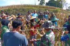 7c7f1742 de5c 430f bcfc 5f0e55090e09