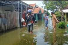 e5352c65 8905 4256 9086 9bf910cb23ba